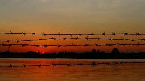 Barbed wire on sunset 動画素材 100099650