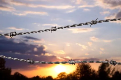 Barbed wire at sunset Illustrazione stock