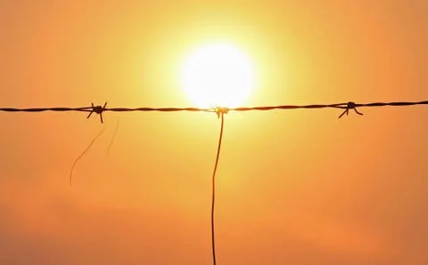 A barbed wire sunset Stock Photos