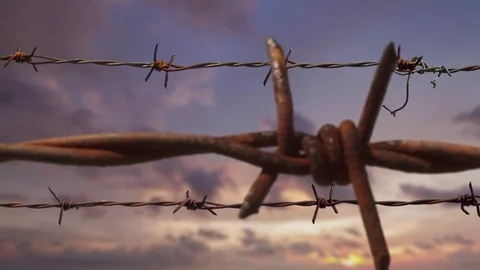 Barbed wire on sunset sky background - shallow DOF, focus on foreground Stock Footage 82512671
