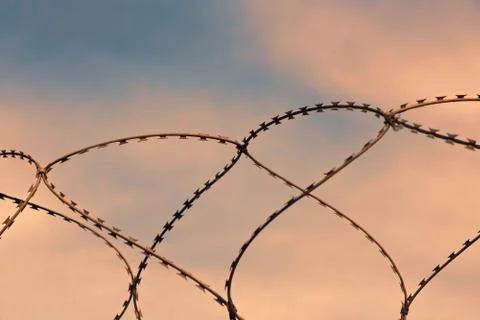 Barbed wire on sunset sky background. Stock Photos