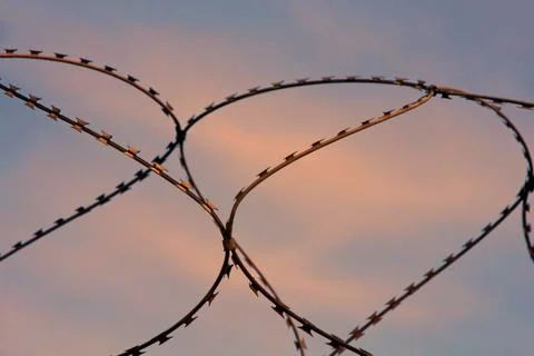 Barbed wire on sunset sky background. Stock Photos