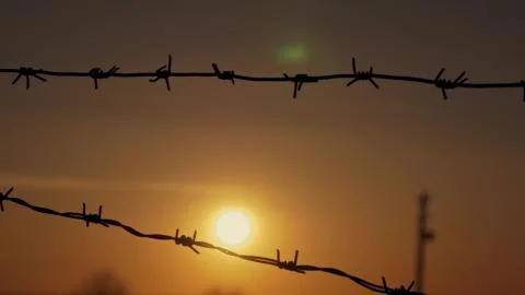 Barbed wire at sunset in the wind Stock Photos