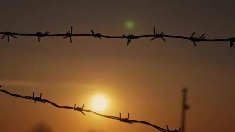 Barbed wire at sunset in the wind Stock Photos