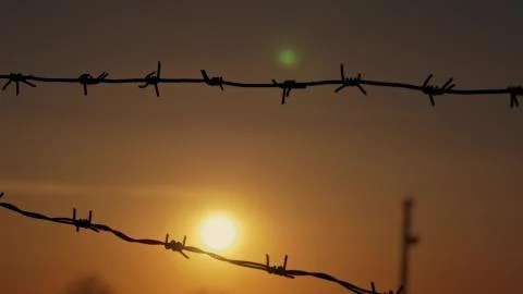 Barbed wire at sunset in the wind Stock Photos