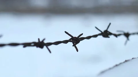 Barbed wire sways in the wind, snowflakes fly near it Stock Footage 131951319