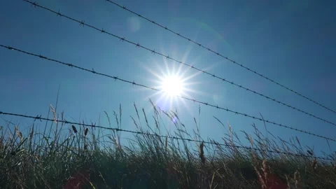 Barbed Wire Timelapse Before Sunset Stock Footage 143109263