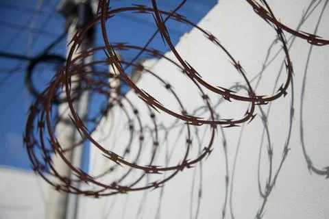Barbed wire on top of a old wall Stock Photos