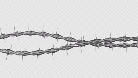 Barbed Wire on a Transparent Background. Restricted Area with Wire Fence. 4K Stock Footage 286705192