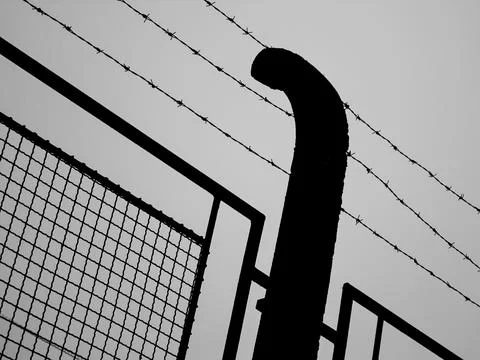 Barbed wire used to help with security Fotos Stock