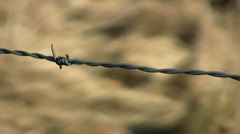 Barbed wire vibrate Video stock 346980