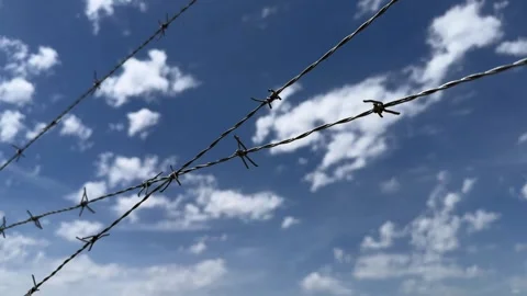 Barbed wire video slow motion Stock Footage 278371598
