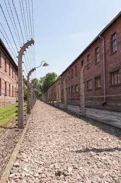 Barbed Wire Walkway Stock Photos