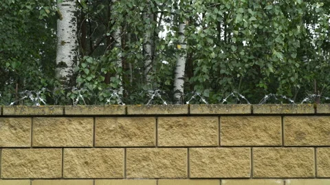 Barbed wire wall background leaves rustle prison Stock Footage 136429956