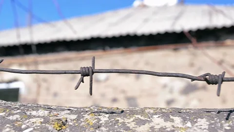 Barbed wire on the wall Stock Footage 170481572