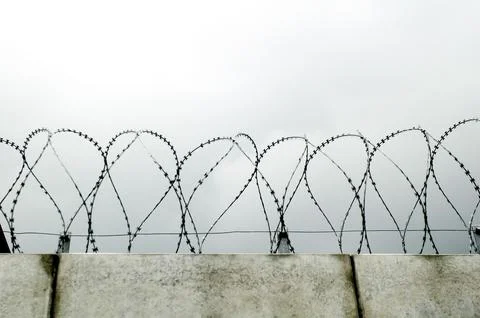 Barbed wire on a wall for protection Stock Photos