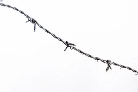Barbed wire on white background. Barbed wire covered by snow. Stock Photos