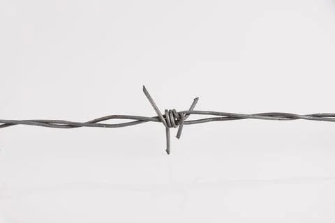 Barbed wire on a white background. Close-up, with a sharp spike. copy space. Stock Photos