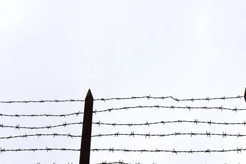 Barbed wire on white background Stock Illustration