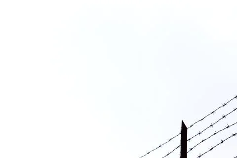 Barbed wire on white background Stock Photos