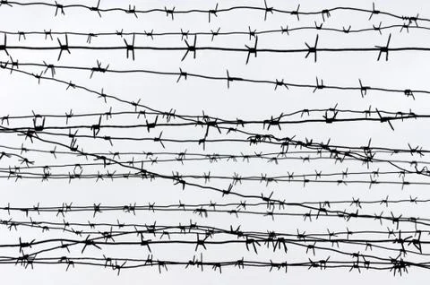 Barbed wire on white background. Stock Photos