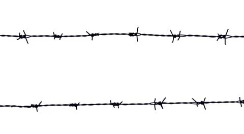 Barbed wire on white background. Stock Photos