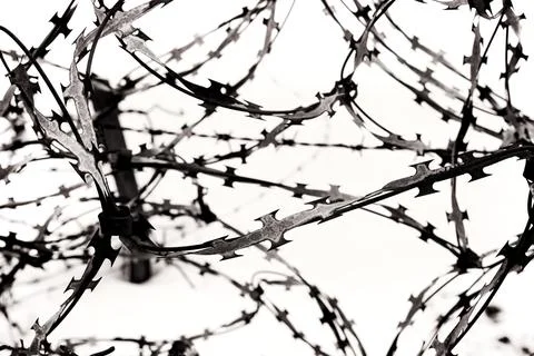 Barbed wire on a white background. Wire isolate close-up. Protection from c.. Foto stock