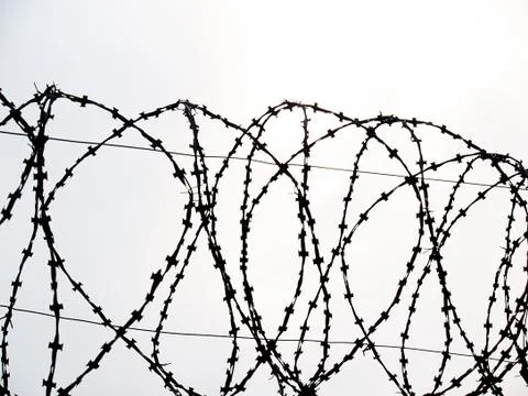 Barbed wire on a white background,close up Stock Photos