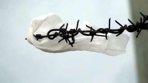 Barbed wire in the wind Stock Footage 88030890