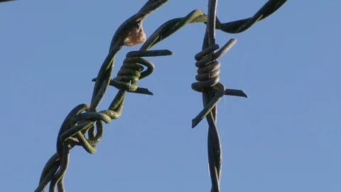 Barbed wire in the wind Vídeo Stock 100432610