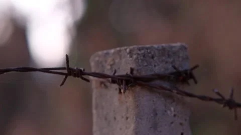 Barbed wire wrapped protect field Stock Footage 145844417