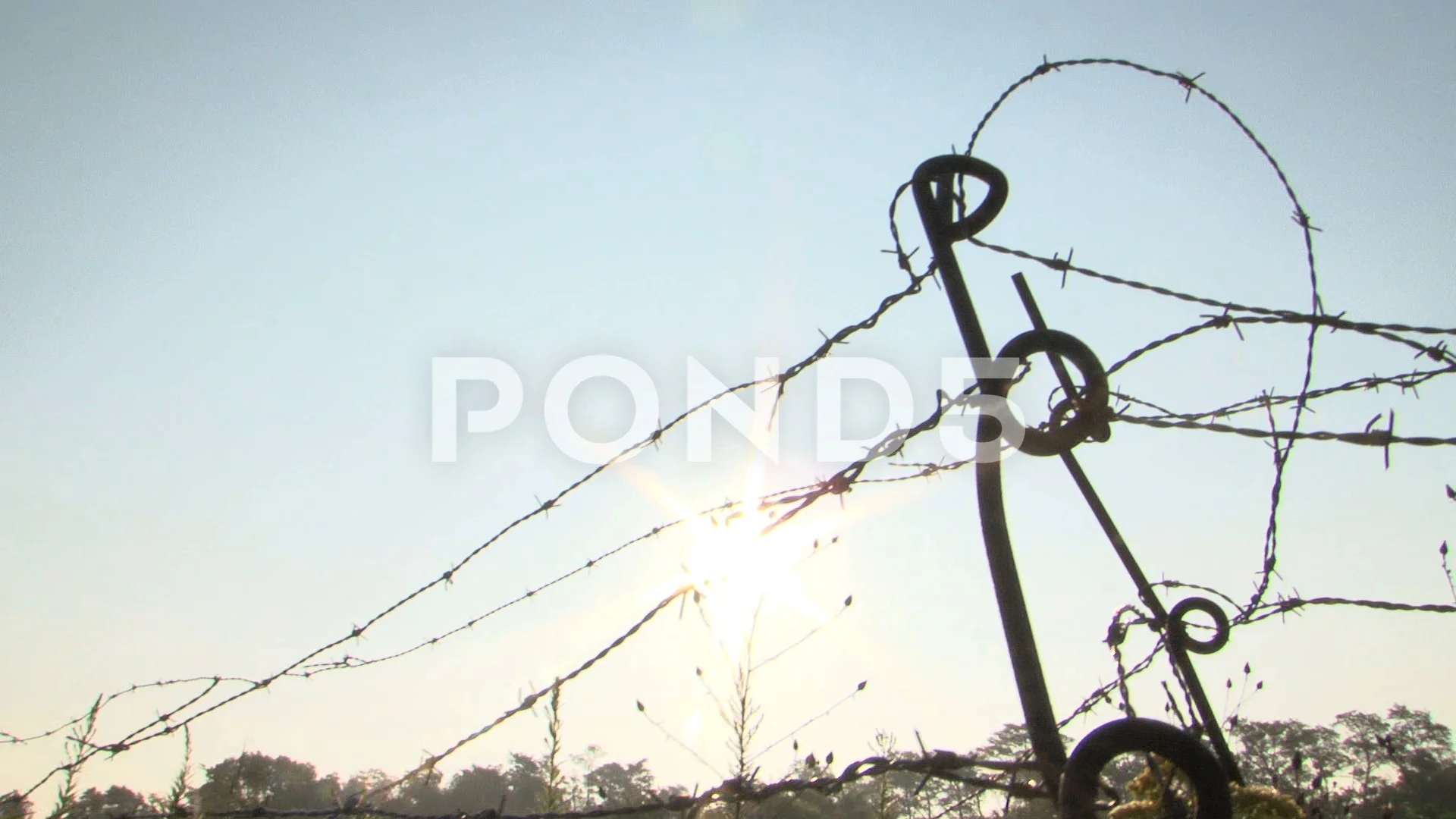 barbed wire ww1