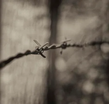 Barbed Wired Between Posts I Foto stock