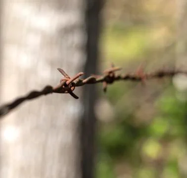 Barbed Wired Between Posts II Stock Photos