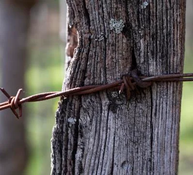 Barbed Wired On Post II Stock Photos