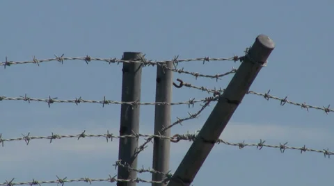 Barbed wired set against a sky background. Video stock 27429837