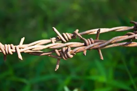 Barbed wires Stock Photos