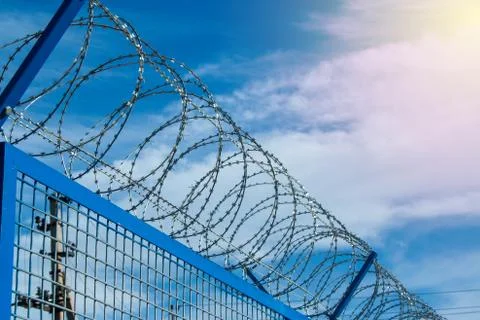 Barbed wires Stock Photos
