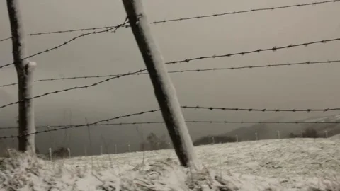 Barbed wires with snow in a field Stock Footage 325682536