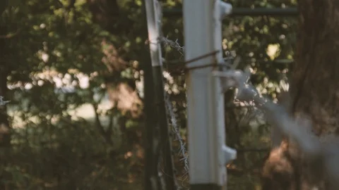 BarbedWire Stock Footage 93572880