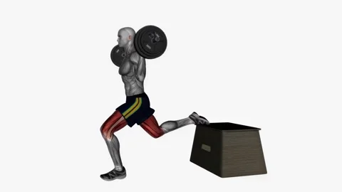 Barbell bulgarian split squat left side view fitness exercise workout animatio   Stockbeeldmateriaal 243988592