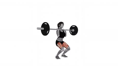 Barbell Clean-grip Front Squat female 1 fitness gym exercise workout animation m Vidéo 247706990