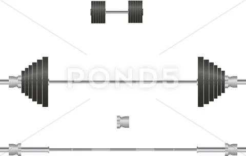 Barbell, dumbbell Stock Illustration