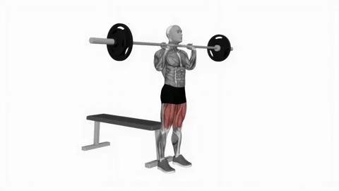 Barbell front chest bench squat fitness exercise workout animation male muscle h 库存影片 243988609