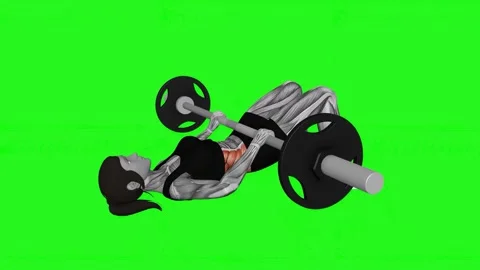 Barbell Glute Bridge (hands on bar) female fitness gym exercise workout animatio Vidéo 247707084