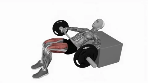 Barbell KAS glute bridge fitness Stock Video Pond5