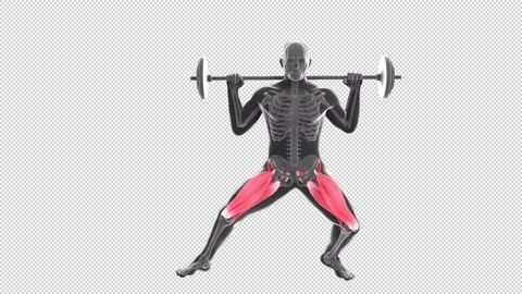 Barbell Lateral Lunges 動画素材 155358406