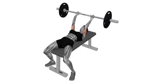Barbell lying triceps skull crusher female 1 fitness gym exercise workout animat 動画素材 247707142