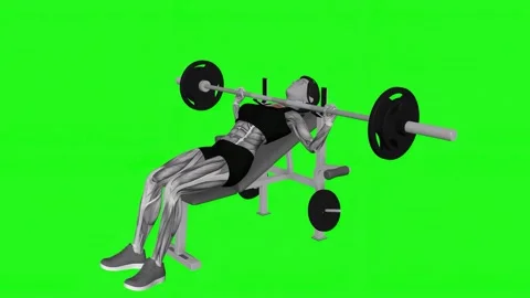Barbell Pause Incline Bench Press female fitness gym exercise workout animation  Video stock 247707164