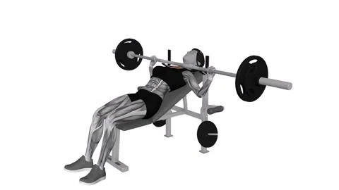 Barbell Pause Incline Bench Press female 1 fitness gym exercise workout animatio Vidéo 247707170